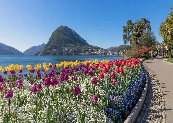 Love Of Lugano - Happy Rentals